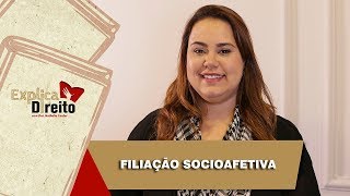 Explica Direito Filiação Socioafetiva  2019 [upl. by Aliak]