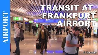 TRANSIT WALK AT FRANKFURT Airport FRA Terminal 1  Connection Flight Transfer Arriving amp Departing [upl. by Tyra]